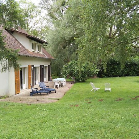 Villa - Coulommiers - Parcs Des Felins - Provins Beautheil-Saints Εξωτερικό φωτογραφία