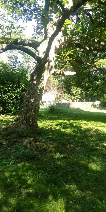 Villa - Coulommiers - Parcs Des Felins - Provins Beautheil-Saints Εξωτερικό φωτογραφία