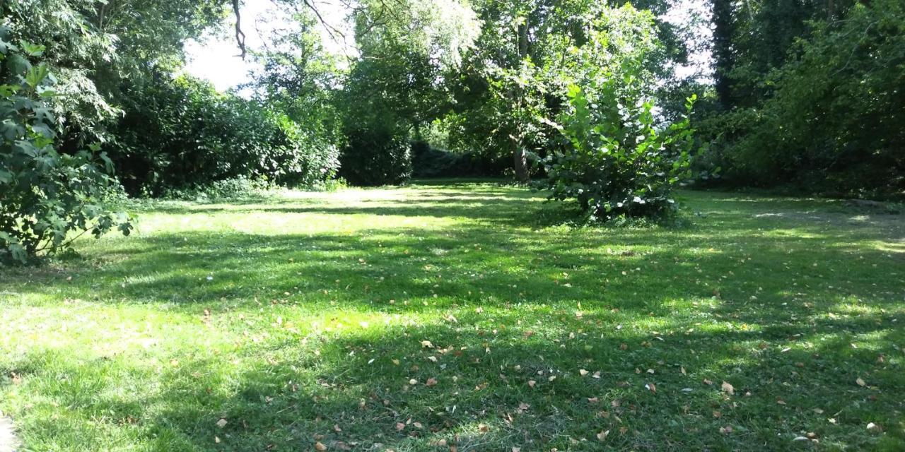 Villa - Coulommiers - Parcs Des Felins - Provins Beautheil-Saints Εξωτερικό φωτογραφία