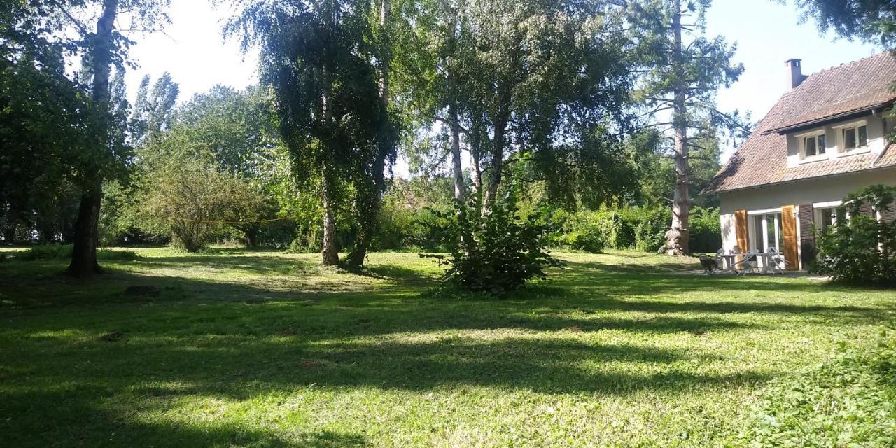 Villa - Coulommiers - Parcs Des Felins - Provins Beautheil-Saints Εξωτερικό φωτογραφία