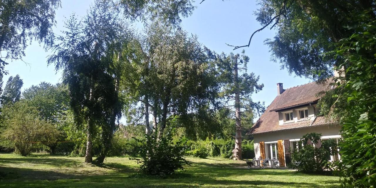 Villa - Coulommiers - Parcs Des Felins - Provins Beautheil-Saints Εξωτερικό φωτογραφία
