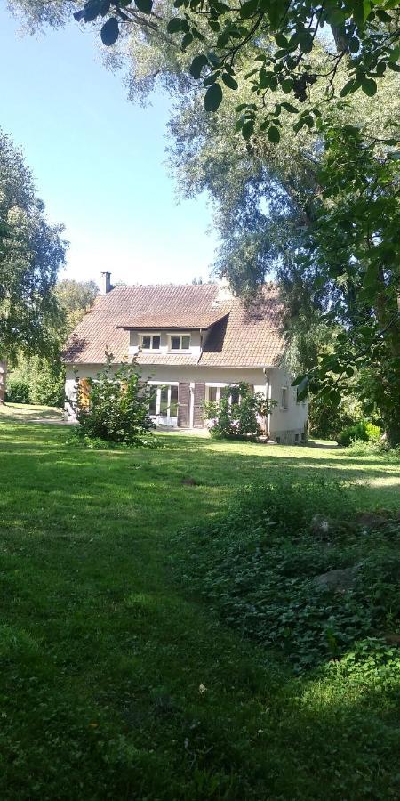 Villa - Coulommiers - Parcs Des Felins - Provins Beautheil-Saints Εξωτερικό φωτογραφία