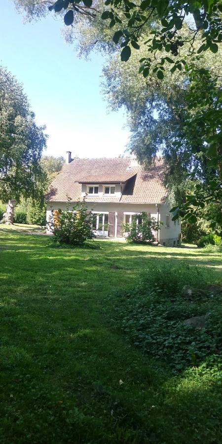 Villa - Coulommiers - Parcs Des Felins - Provins Beautheil-Saints Εξωτερικό φωτογραφία