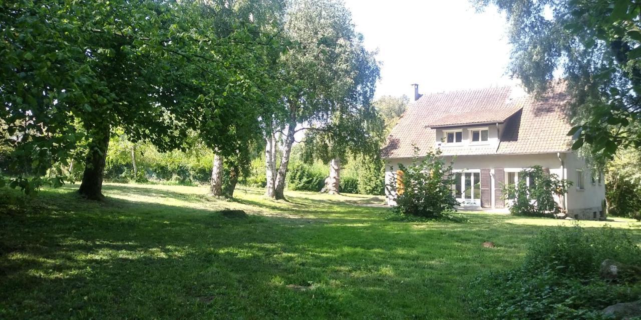Villa - Coulommiers - Parcs Des Felins - Provins Beautheil-Saints Εξωτερικό φωτογραφία