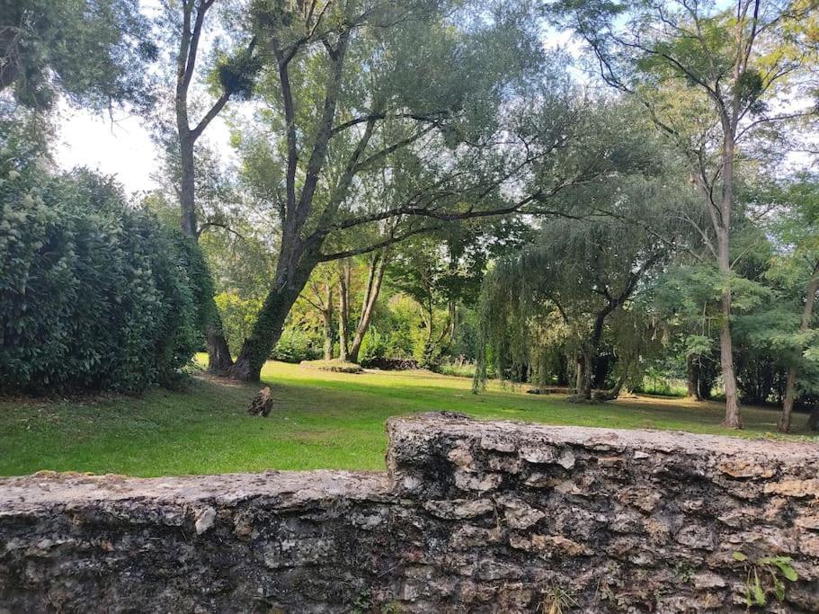 Villa - Coulommiers - Parcs Des Felins - Provins Beautheil-Saints Εξωτερικό φωτογραφία