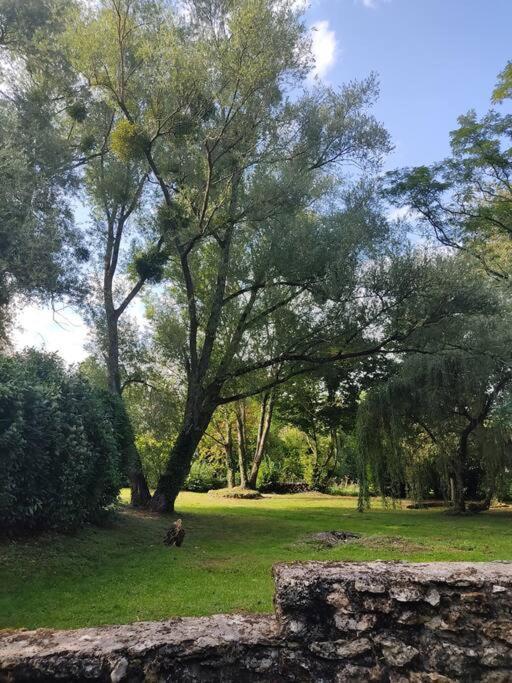 Villa - Coulommiers - Parcs Des Felins - Provins Beautheil-Saints Εξωτερικό φωτογραφία